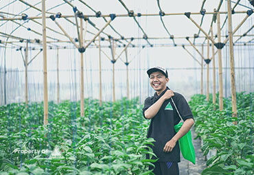 binawan group agriculture